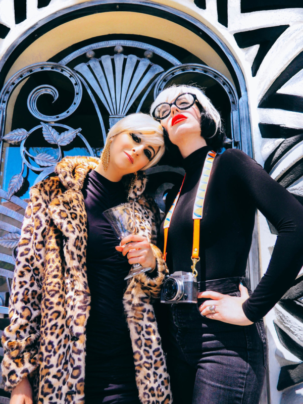 Fashionlaine & Friends: Amy Roiland / Andy Warhol