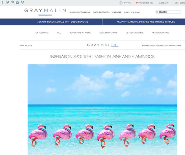 Gray Malin Flamingos Feature