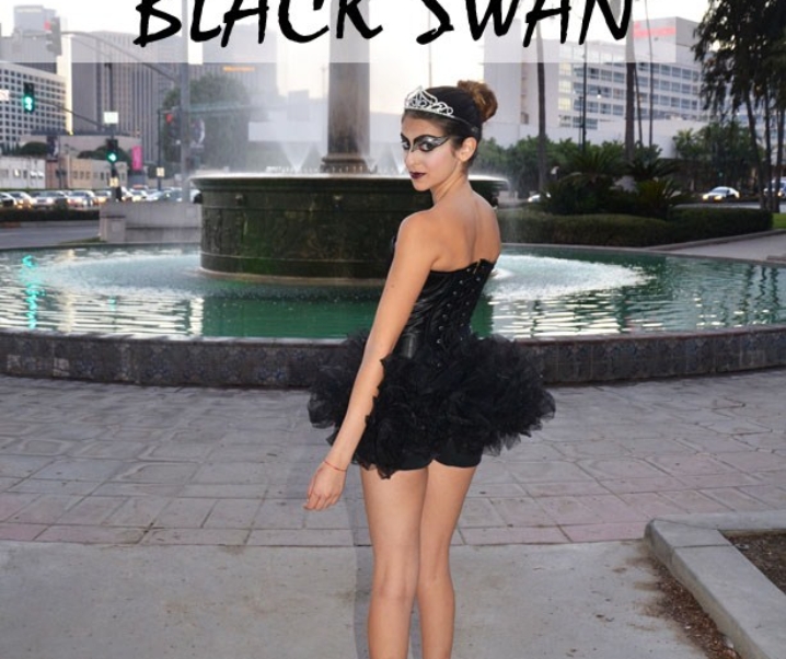 DIY Black Swan