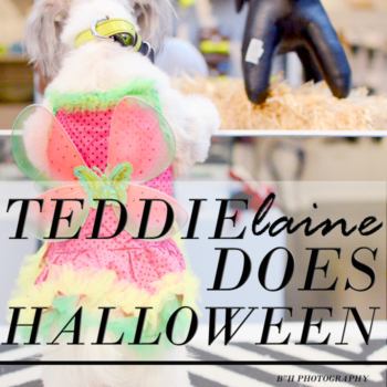 Teddielaine Does Halloween