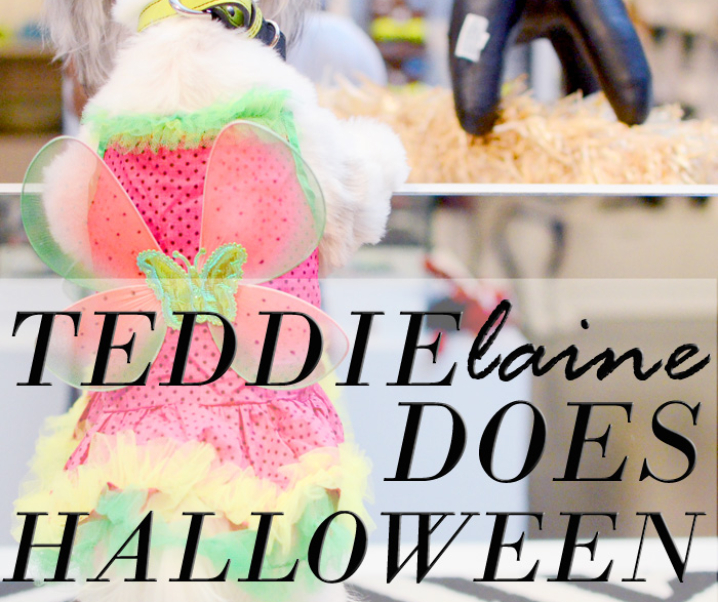 Teddielaine Does Halloween