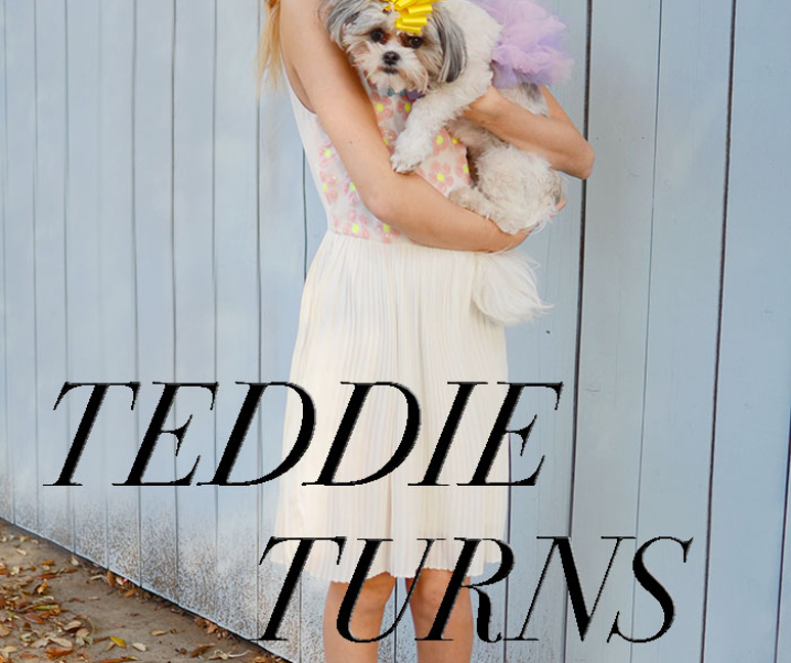 Teddie Turns One
